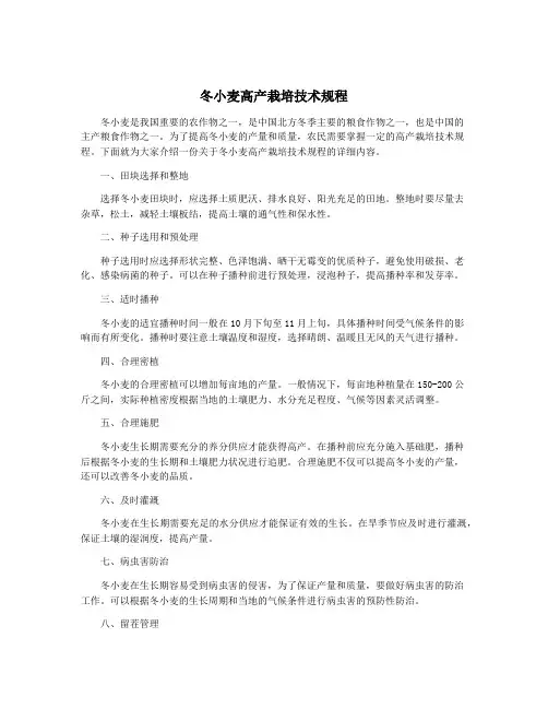 冬小麦高产栽培技术规程