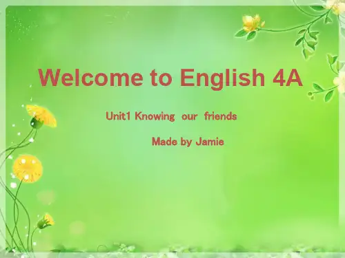 Welcome to English(WTE)香港朗文4A unit1-1优秀精选ppt精品PPT课件