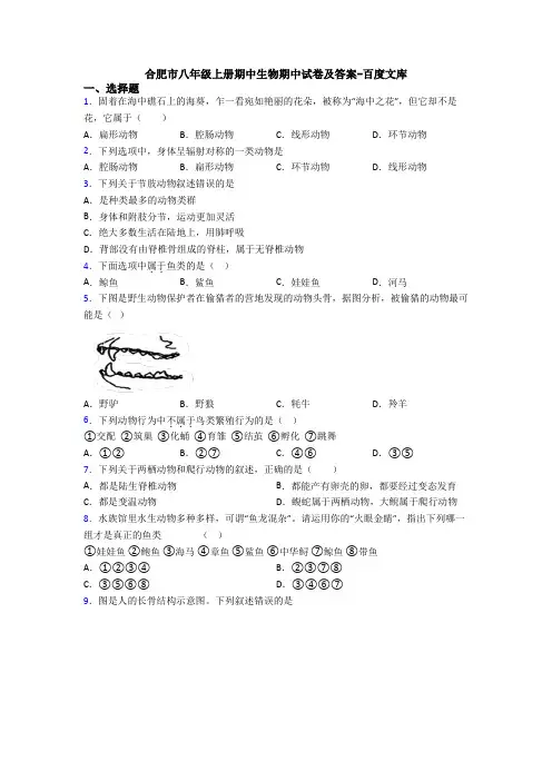 合肥市八年级上册期中生物期中试卷及答案-百度文库