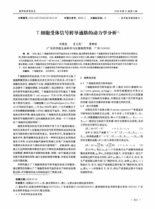 T细胞受体信号转导通路的动力学分析