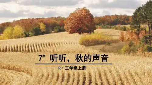 三年级上册语文课件-7 听听,秋的声音   人教(部编版)    (共22张PPT)