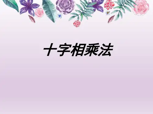 十字相乘法公开课课件