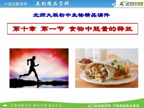 10.1食物中能量的释放（课件ppt）