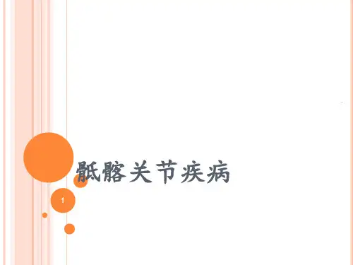 骶髂关节疾病PPT课件