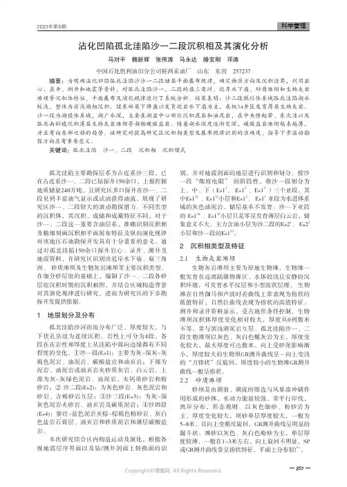 沾化凹陷孤北洼陷沙一二段沉积相及其演化分析
