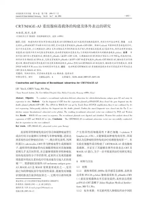 CRT_MAGE_A3重组腺病毒载体的构建及体外表达的研究