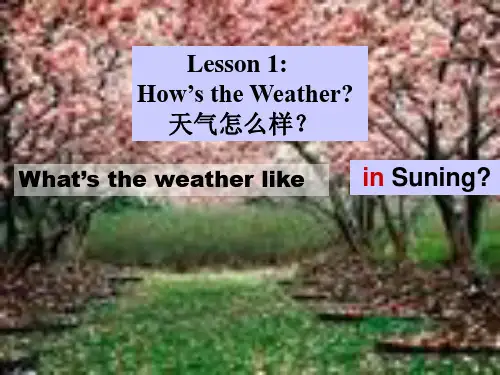 八年级英语下册Unit1 Lesson 1(新冀教版)优秀版