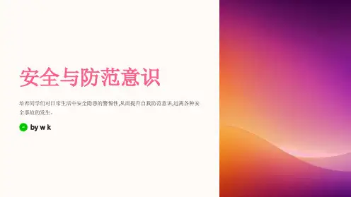 安全与防范意识主题班会PPT课件