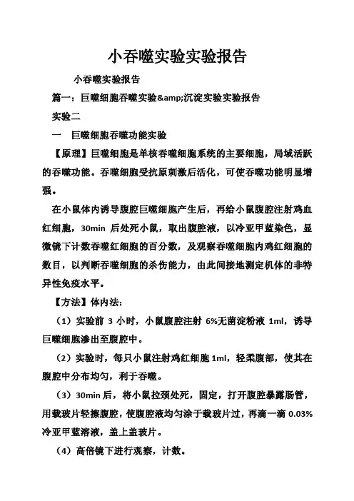 小吞噬实验实验报告
