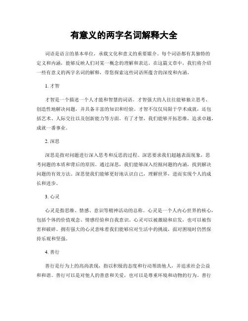 有意义的两字名词解释大全