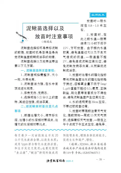 泥鳅苗选择以及放苗时注意事项
