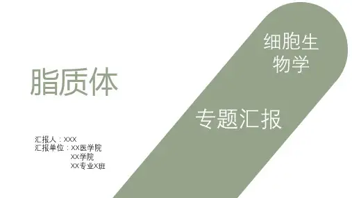 细胞生物学   脂质体
