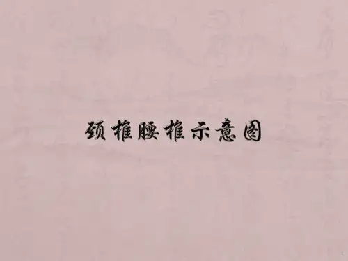 颈椎腰椎示意图PPT参考幻灯片