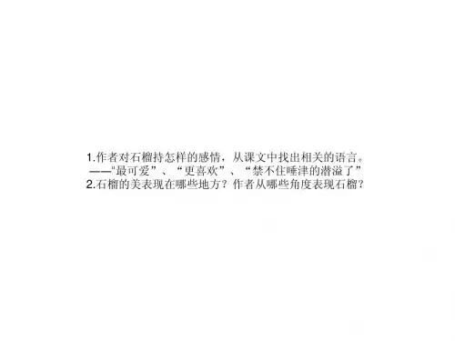 石榴ppt