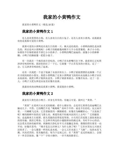 我家的小黄鸭作文