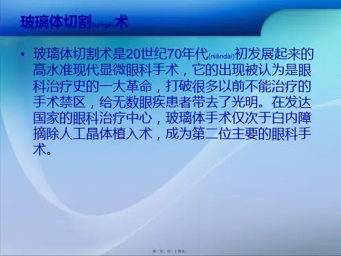 医学专题玻璃体切割术PPT