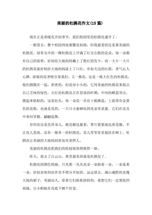 美丽的杜鹃花作文(15篇)精选