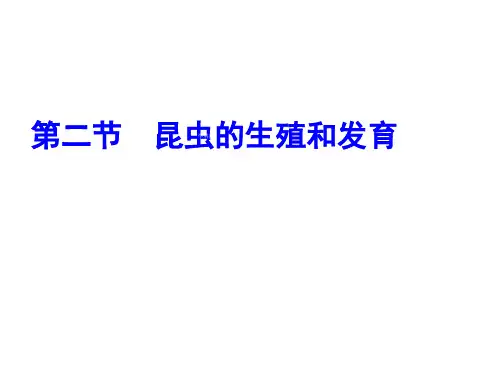 昆虫的生殖和发育-课件