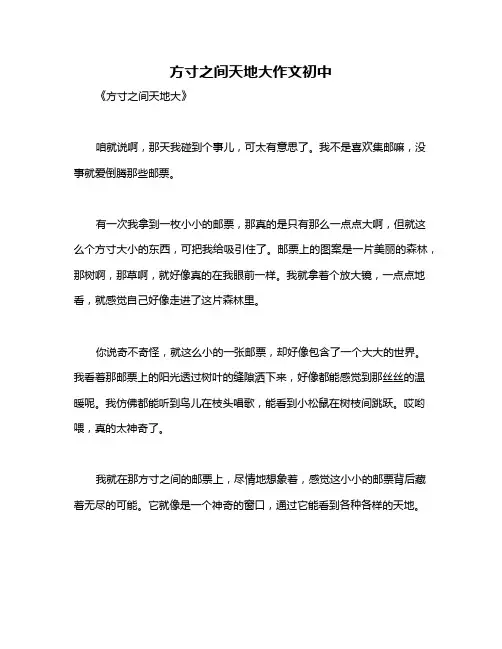 方寸之间天地大作文初中