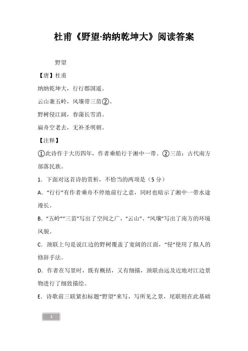 杜甫《野望·纳纳乾坤大》阅读答案