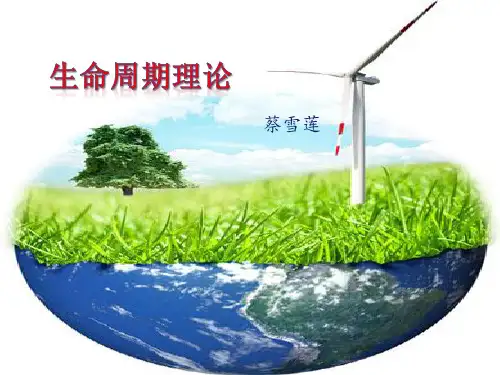 生命周期理论