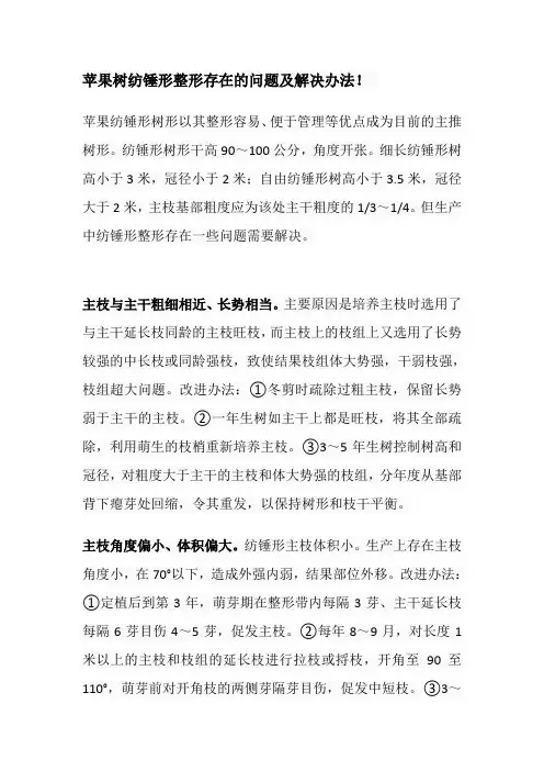 苹果树纺锤形整形存在的问题及解决办法