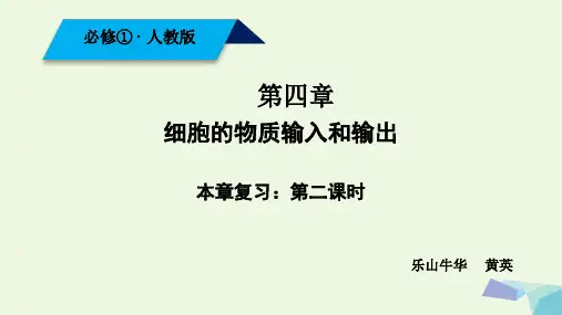 高中生物必修1第四章细胞的物质输入和输出复习课件