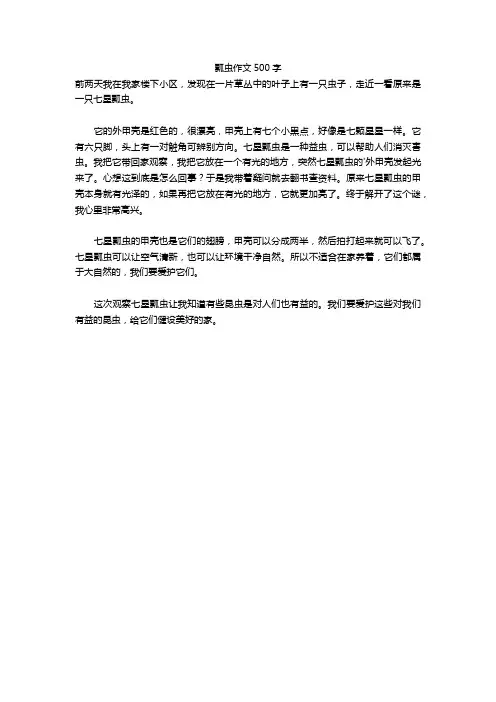 瓢虫作文500字