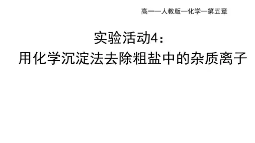 人教版高中化学必修第二册 第五章 实验活动4：用化学沉淀法去除粗盐中的杂质离子