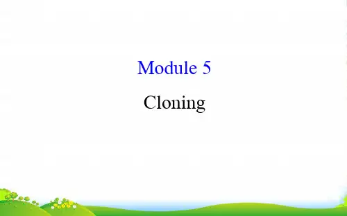 高考英语(外研版)一轮复习课件：选修6+Module+5