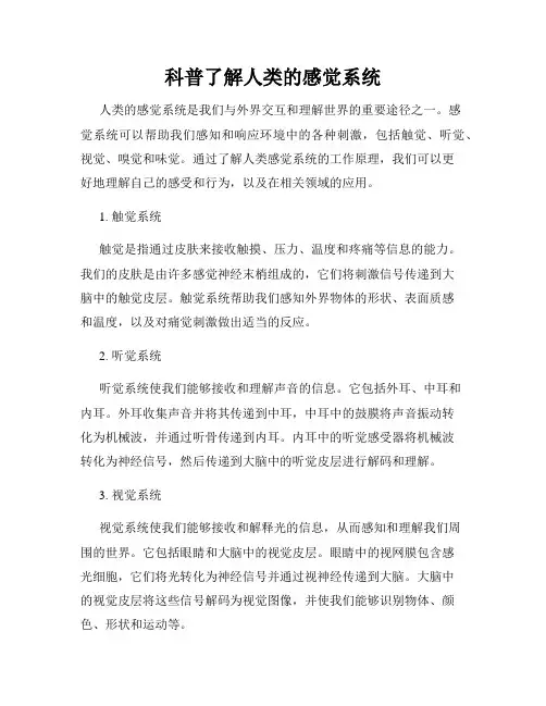 科普了解人类的感觉系统