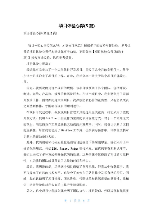 项目体验心得(5篇)