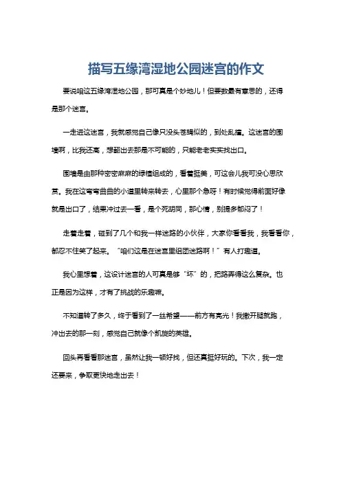 描写五缘湾湿地公园迷宫的作文
