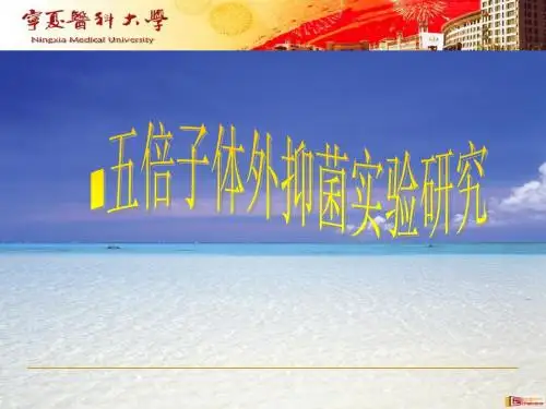 五倍子体外抑菌试验研究