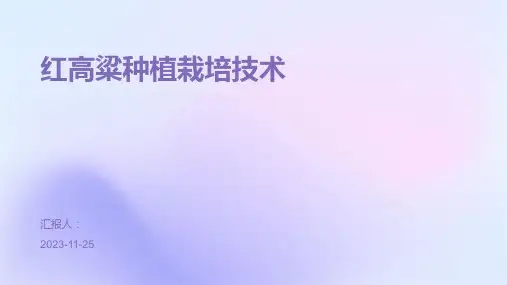 红高粱种植栽培技术