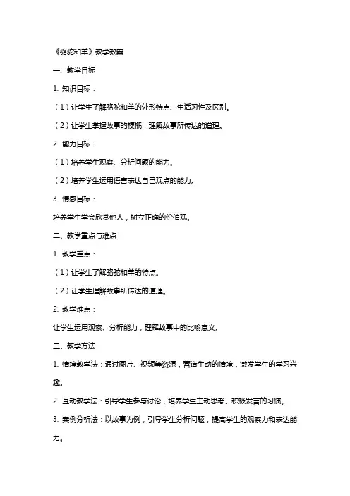 《骆驼和羊》教学教案