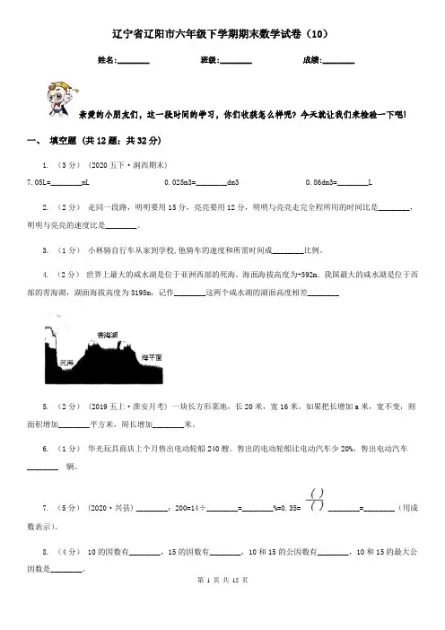 辽宁省辽阳市六年级下学期期末数学试卷(10)