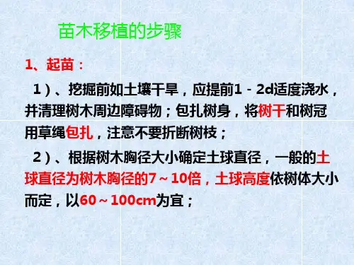 苗木移植的步骤