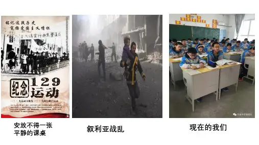 人教道德与法治八年级上册 8.1 国家好 大家才会好 课件