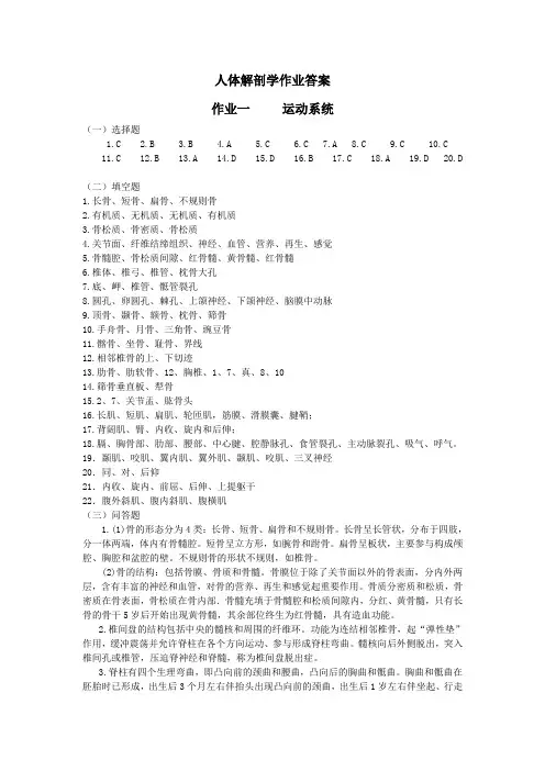 人体解剖学作业答案教学大全整理
