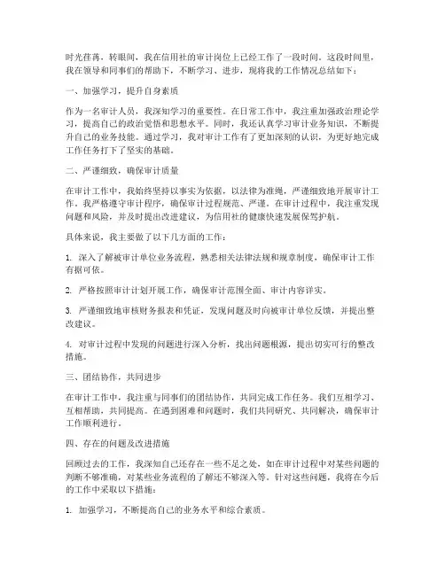 信用社审计个人工作总结