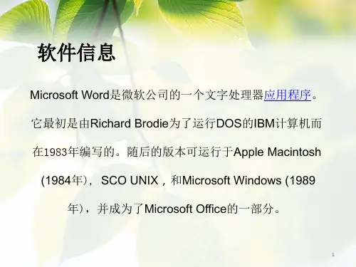 Word简介ppt课件