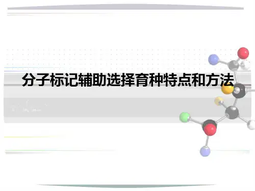 分子标记辅助选择育种特点和方法