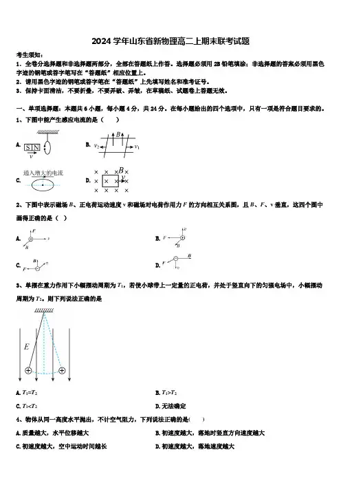 2024学年山东省新物理高二上期末联考试题含解析
