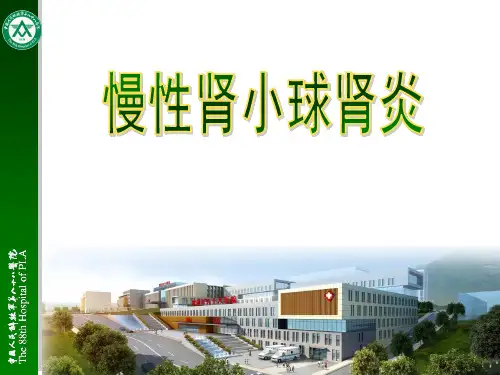 慢性肾炎-精品医学课件