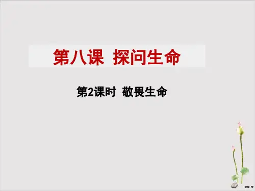 《敬畏生命》部编道德与法治-优秀课件PPT