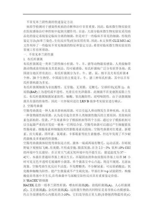 不常见革兰阴性菌的快速鉴定方法