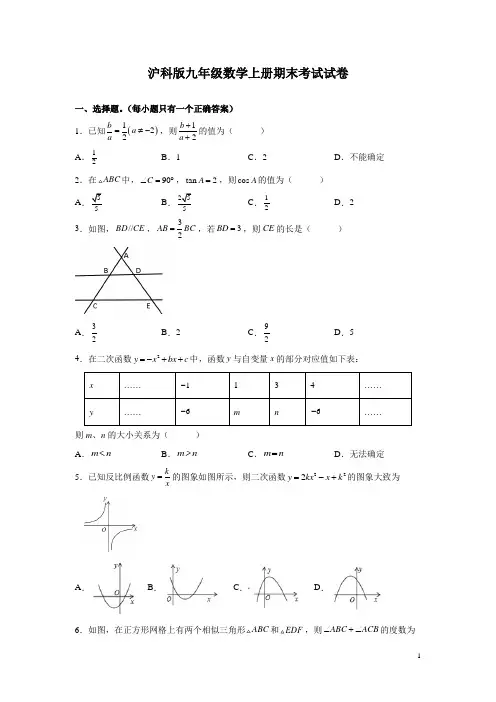 沪科版九年级数学上册期末考试试题含答案