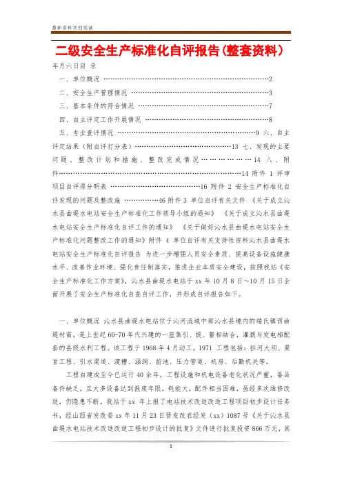 二级安全生产标准化自评报告(整套资料)
