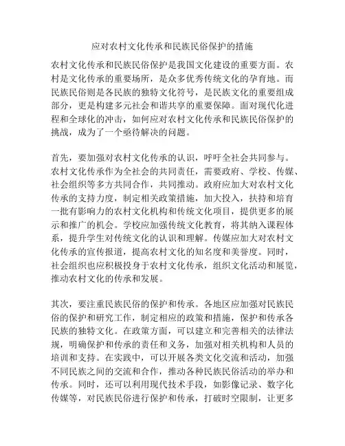 应对农村文化传承和民族民俗保护的措施